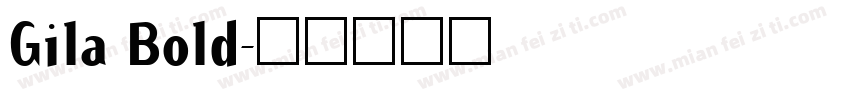 Gila Bold字体转换